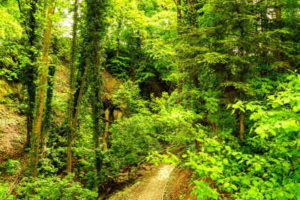 Der renaturierte Bach mit dem Weg durch die Schlucht