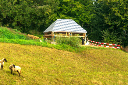 Am neuen Standort von der Serpentine aus