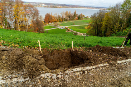 Die erste Grube für die Baumallee