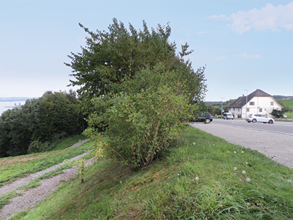 Die Neuführung des Wanderweges